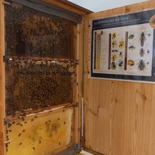 Bienen