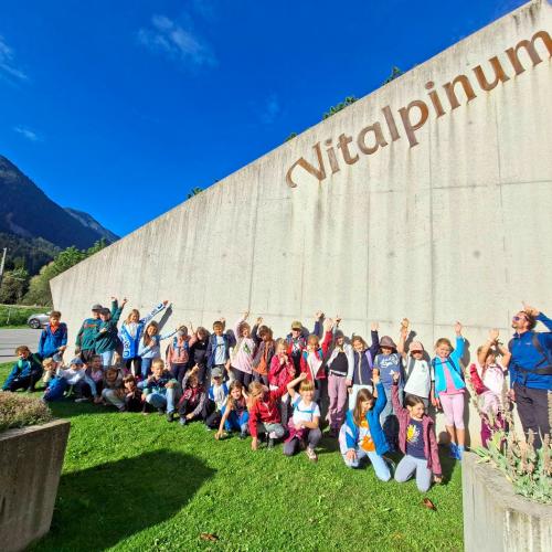 Vitalpinum